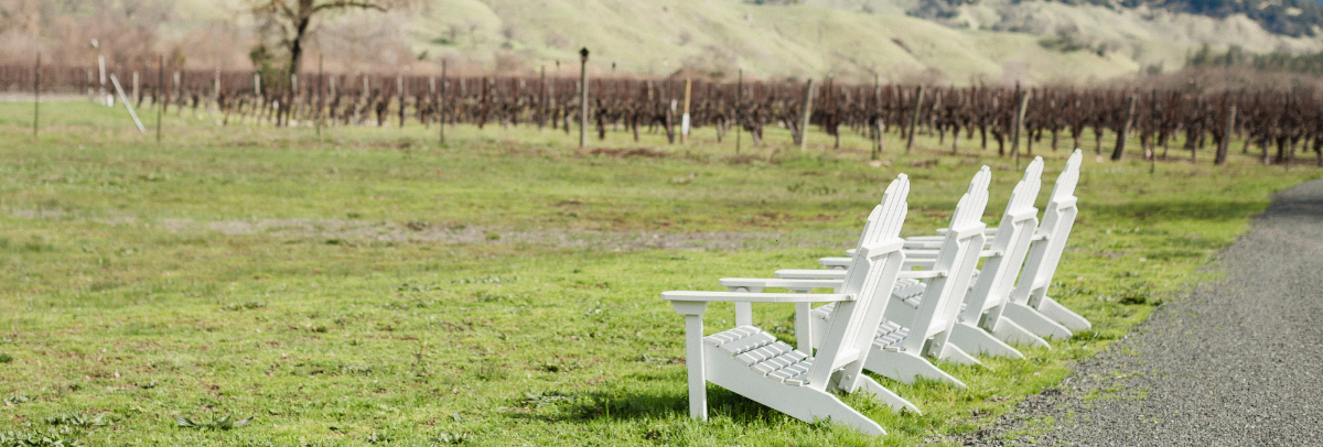 Experience the beauty of Calistoga's vineyards as you relax in four comfortable Adirondack chairs at our luxury vacation rental.