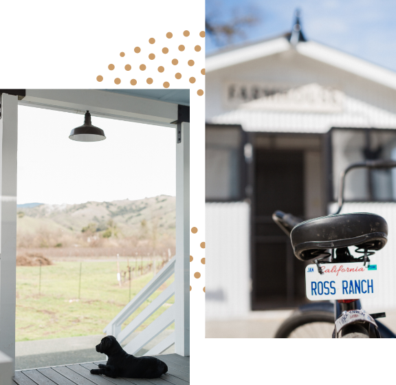 A picturesque scene featuring a bicycle with a Ross Ranch name plate on the back of the seat, accompanied by a loyal black lab sitting on the front steps, overlooking breathtaking vineyards and majestic mountains.